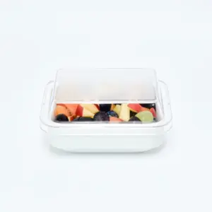 7181.46 EURO-Systemdeckel - rechteckig - - 131 x 99 mm - glasklar - Polycarbonat (PC)