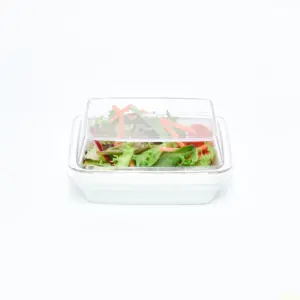 7181.77 EURO-Systemdeckel - rechteckig -  - 120 x 90 mm - glasklar - Tritan